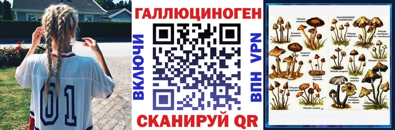hydra ONION  Тимашёвск  площадка какой сайт  Галлюциногенные грибы прущие грибы 